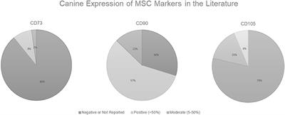 Therapeutic Use of Mesenchymal Stromal Cells: The Need for Inclusive Characterization Guidelines to Accommodate All Tissue Sources and Species